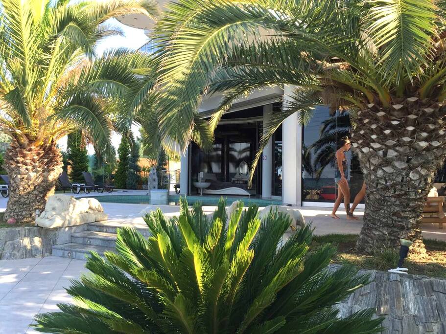 Garden with Pool