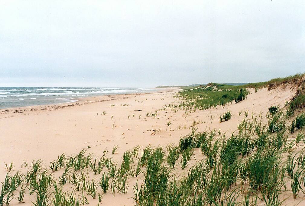 Singing Sands