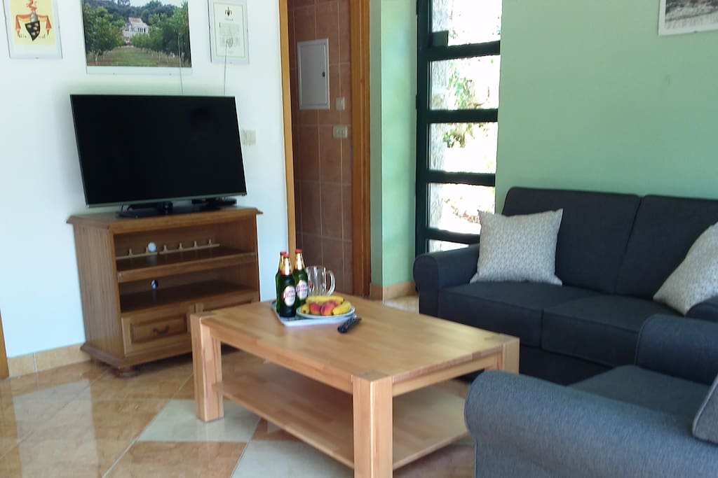 comfortable living room