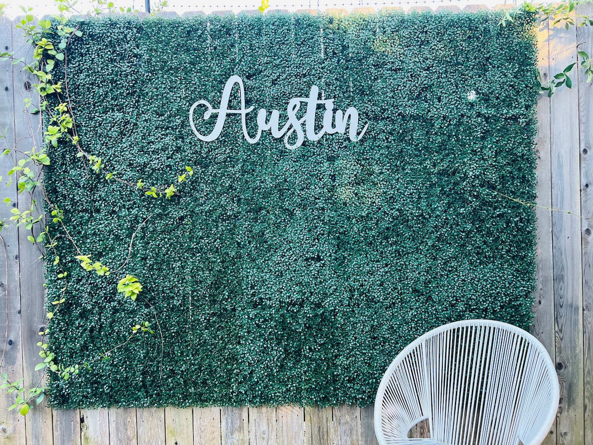North Central Austin House