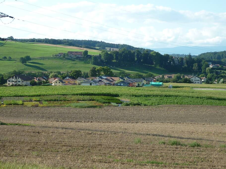 Situation :
Vue du quartier dans lequel se trouve la maison, en direction du Nord, avec le Plateau du Jura dans le fond