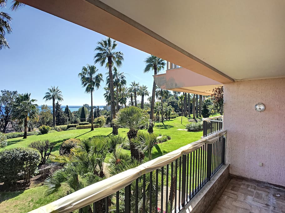 Our residence is surrounded by beautiful big and calm palm trees park
