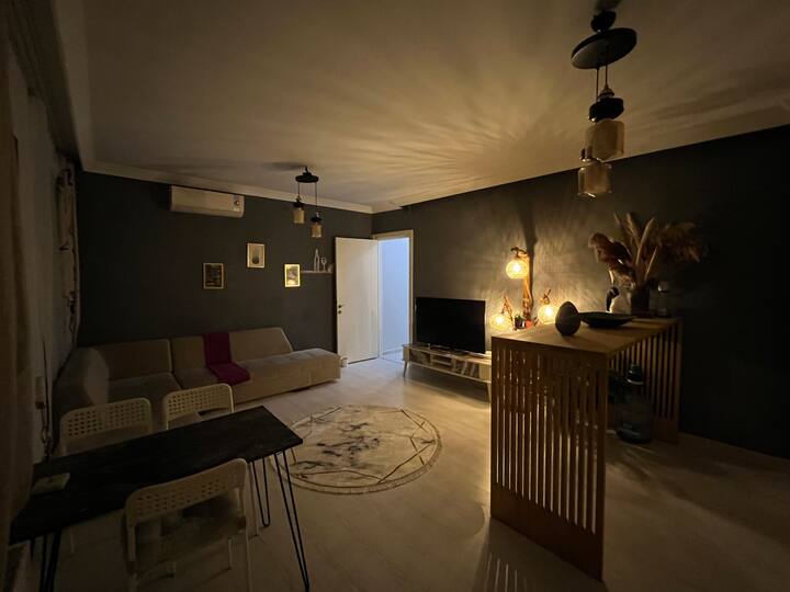 Nişantaşı and Subway House Apartments for Rent in Şişli, İstanbul