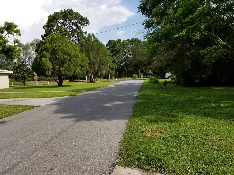 From front of house - Golf course (Clowns) to the left of us