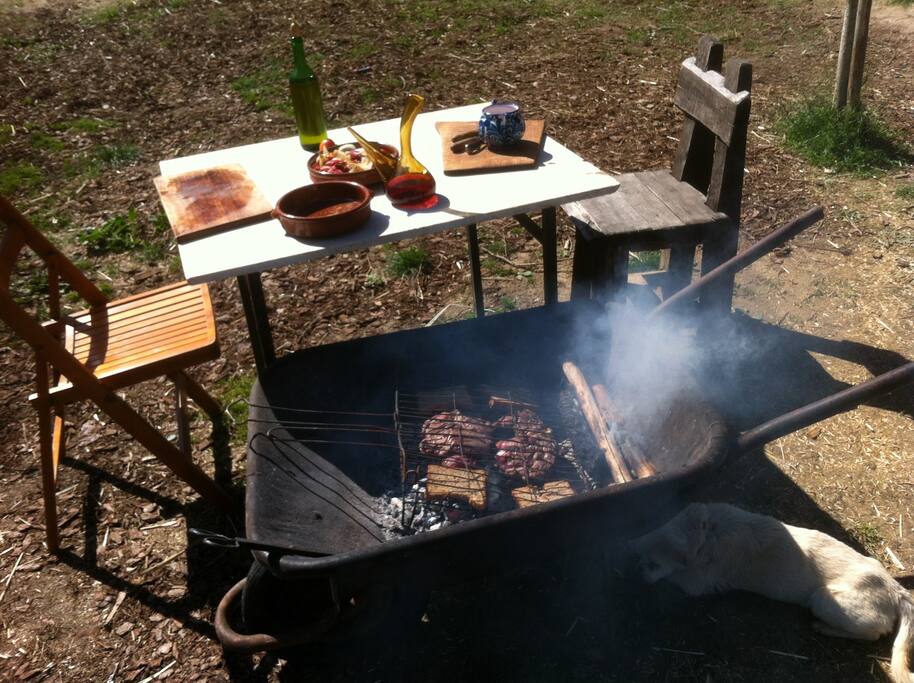 I really like to cook meat and vegetables with fire