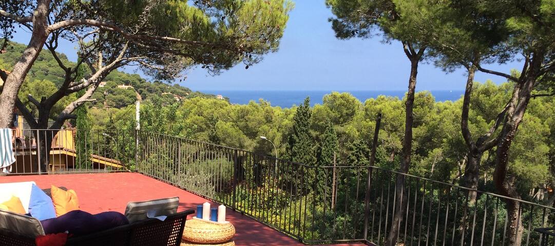 Family home. Pine forest, sea access on foot! gallery image 5