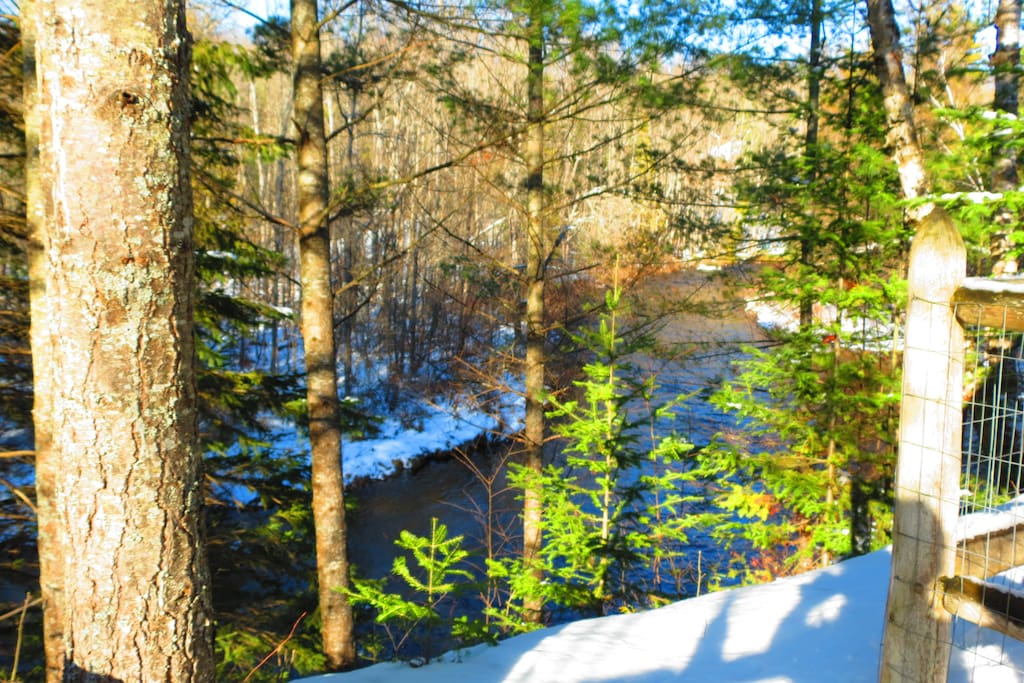 View from the back patio
