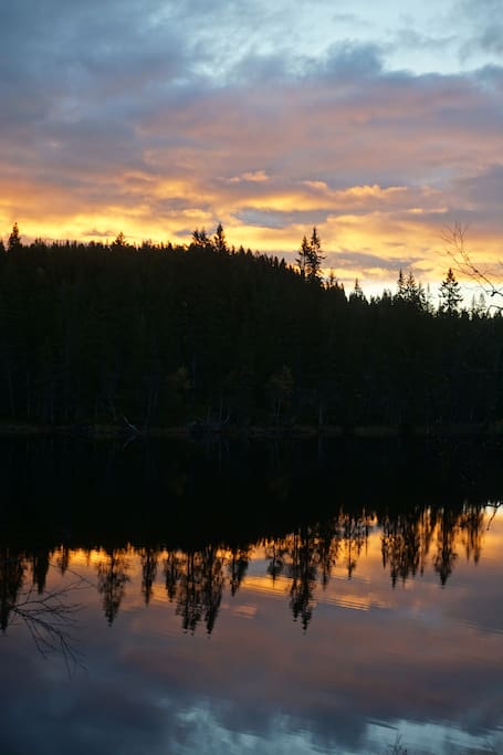 View over the lake "Dammyr"