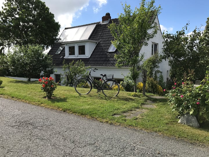 Lovingly furnished house