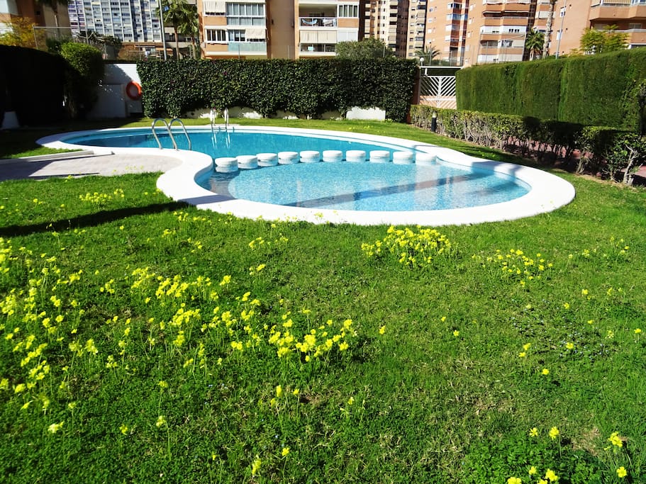 Swimming pool & Garden