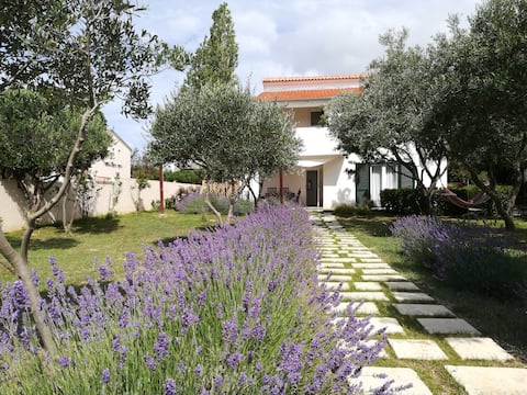 Top Airbnb: Beach house MELA - Island Pag Vlasici Put magazina in Grad Pag