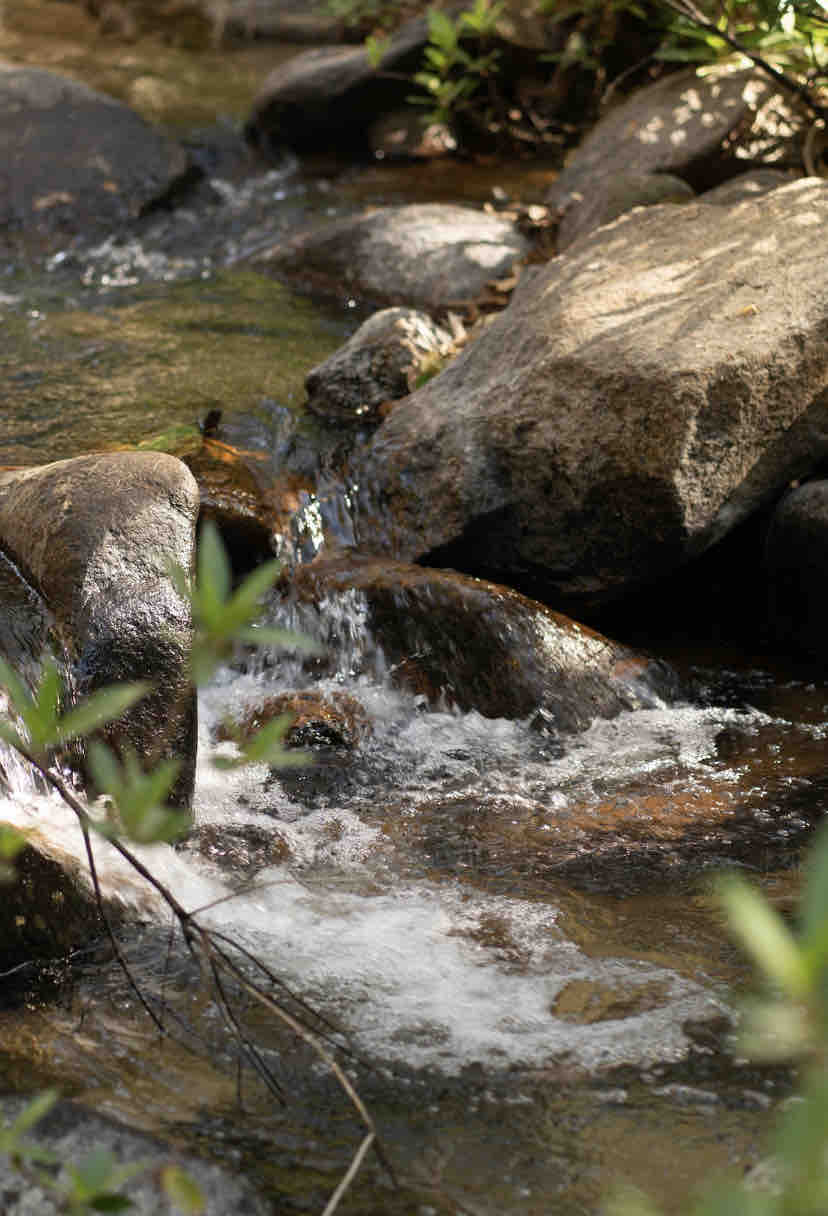 A gently flowing river is visible, with clear water cascading over smooth stones and creating ripples. Surrounding foliage features lush greenery, contributing to a serene natural environment.