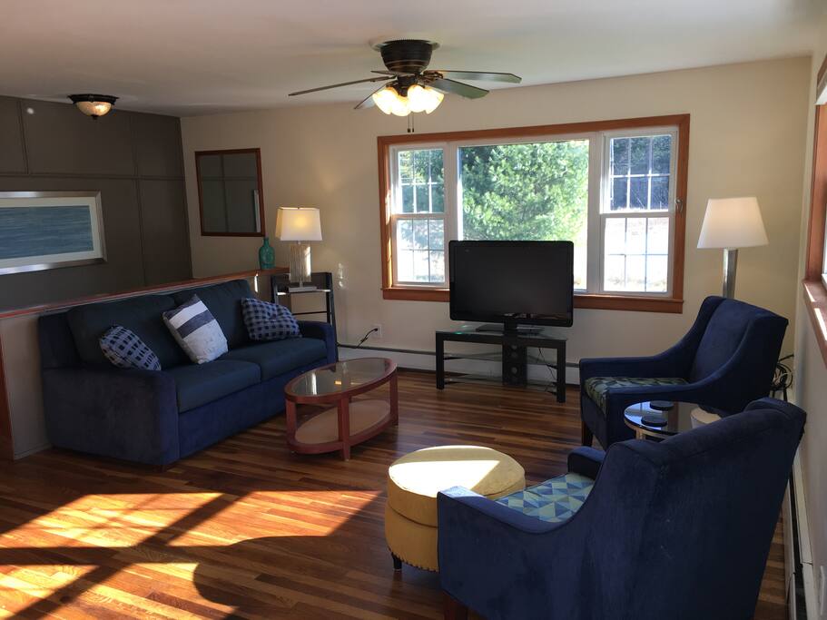 Living Room with full pull out sofa--new hardwood floors