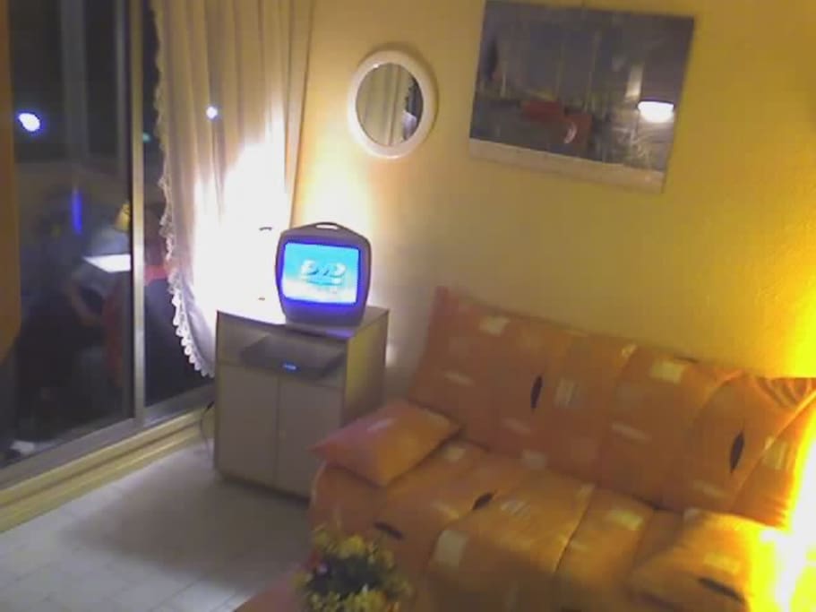 Pièce Principale (TV DVD USB, canapé lit BZ 140X190)