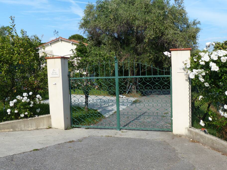 entrée