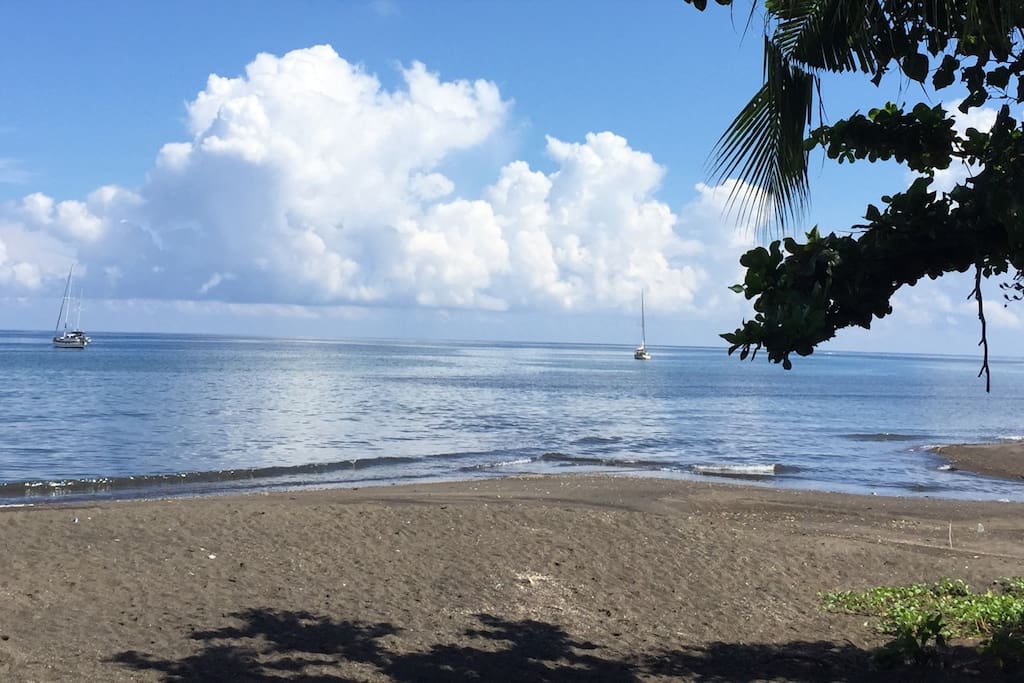 the beach