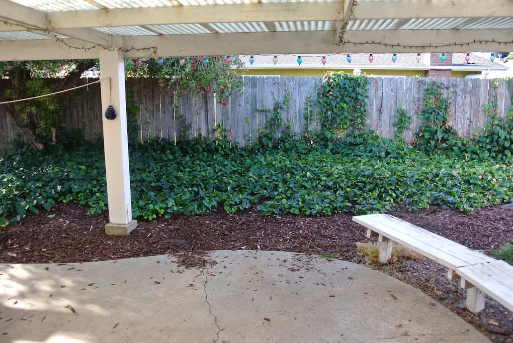 Funky backyard.