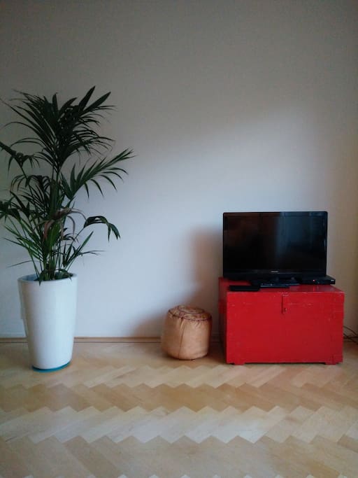 TV