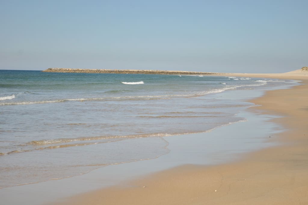The local beach - 60 seconds away