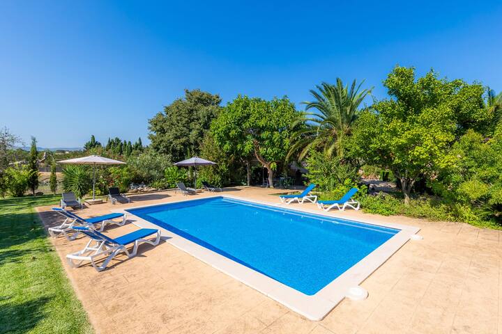 Can Sua gallery image 2