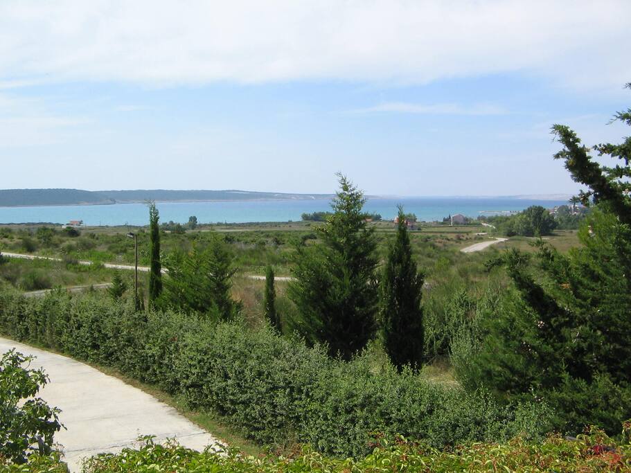 Sea view
