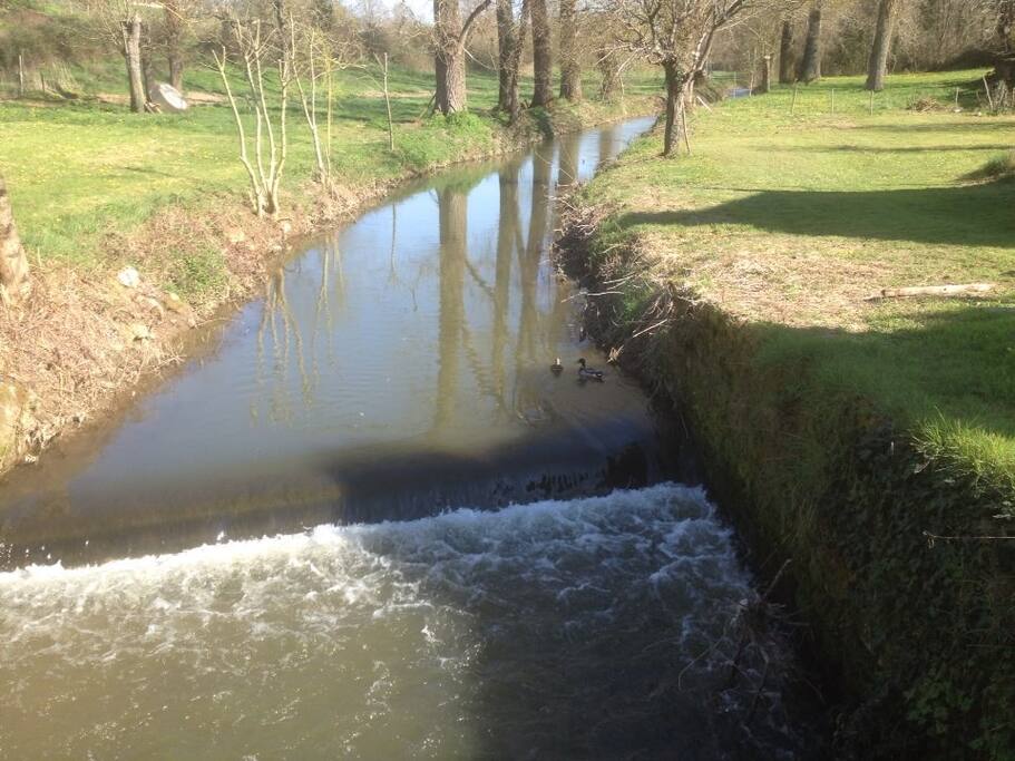 ... et au milieu coule une rivière