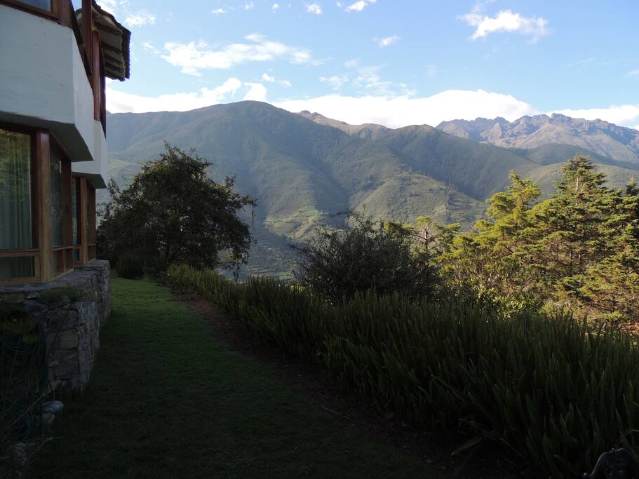 Jardín externo.