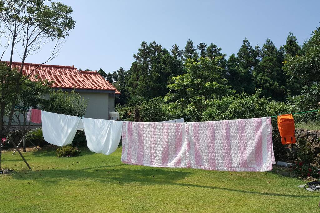 맑고 깨끗한 여름 하늘 아래