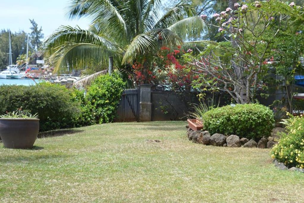 The yard