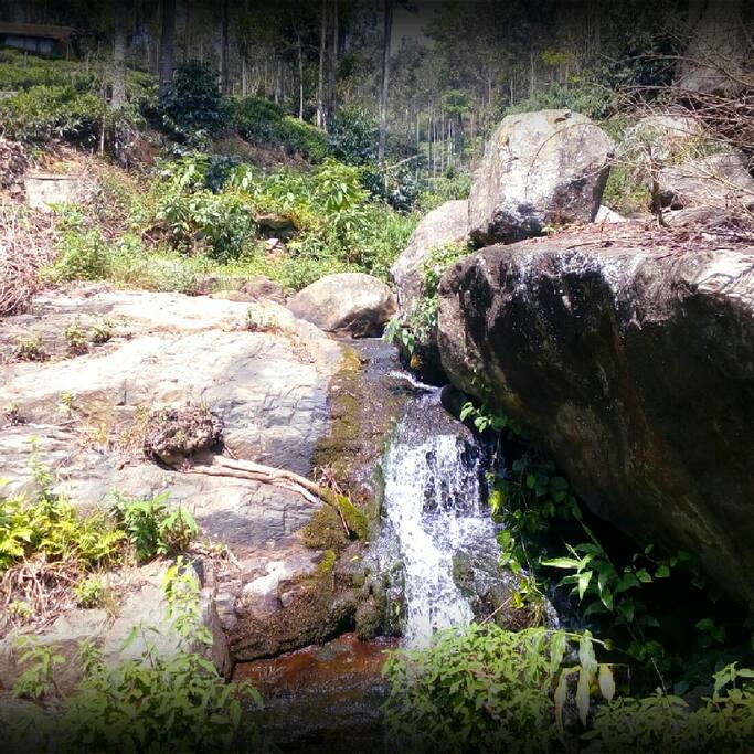 Natural Stream Behind the home