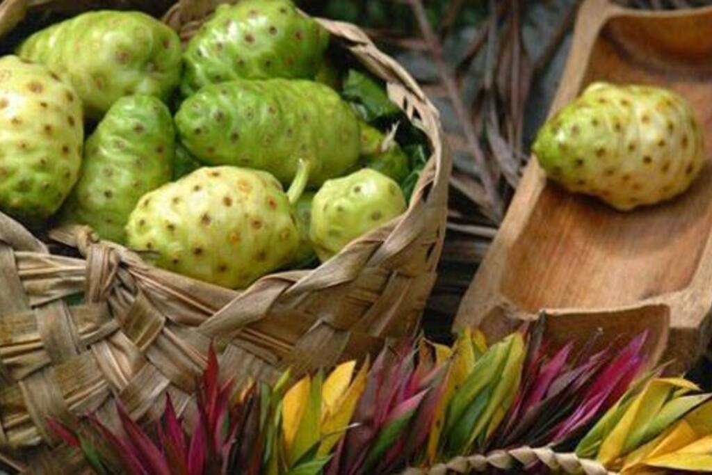 Panier de Noni