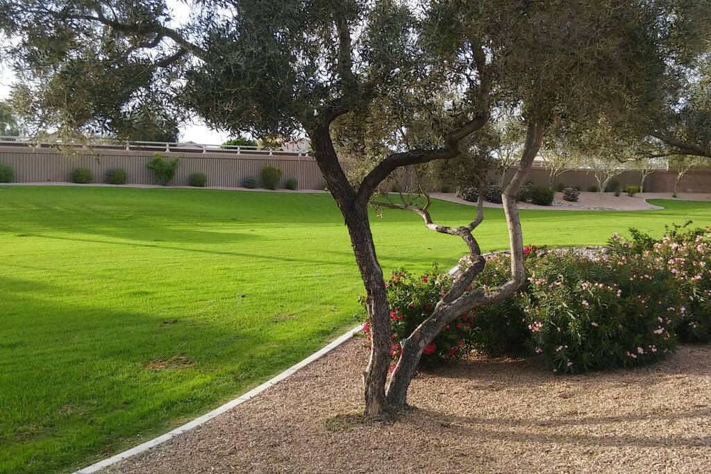 The park is a 15 second walk across the street