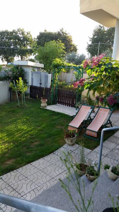 Giardino