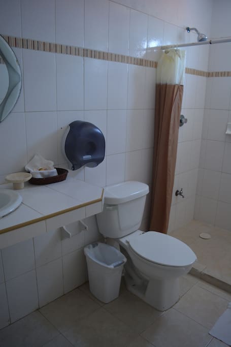 Baño privado con ducha.