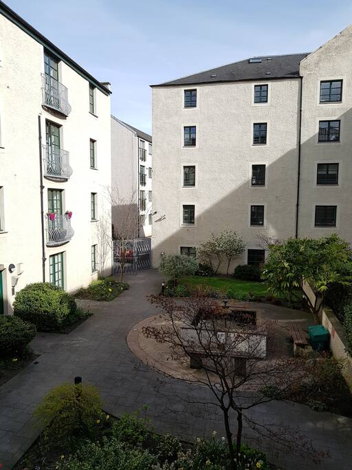 The courtyard
