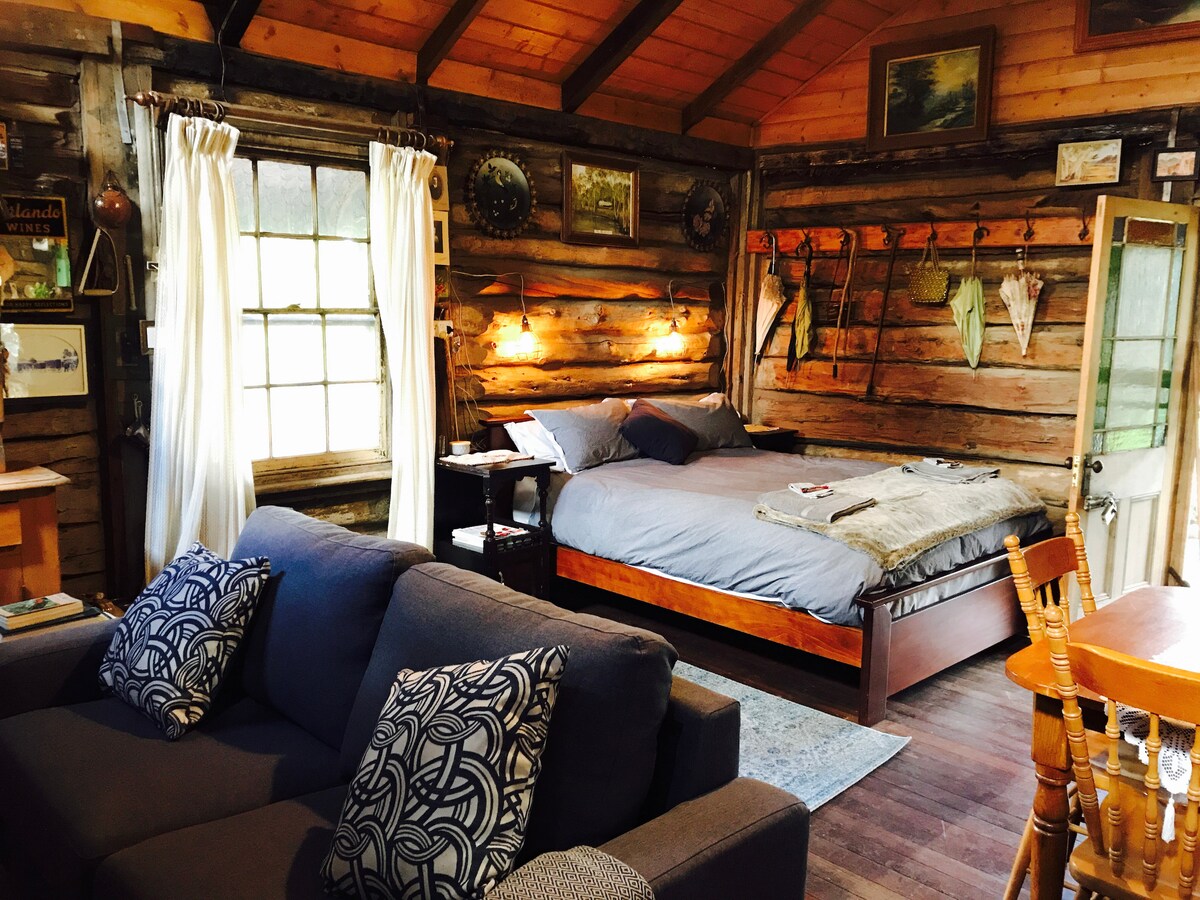 An inviting interior features wooden walls and a spacious bed, complemented by decorative fish displays. Soft lighting creates a cozy atmosphere. A comfortable sofa with patterned cushions is present, alongside a dining table that enhances the cabin's rustic charm.