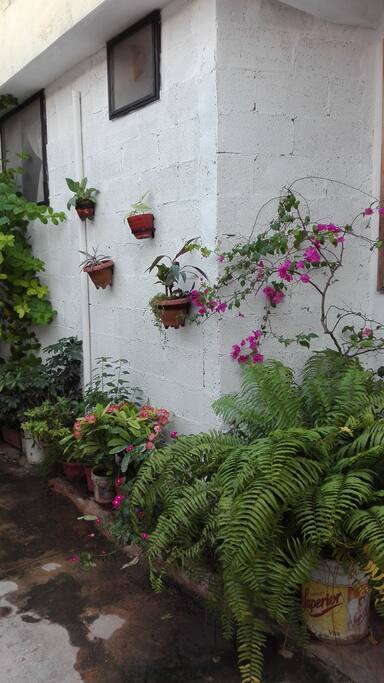 Los jardines invitan a descansar.