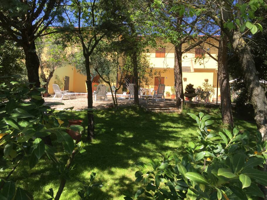 Giardino