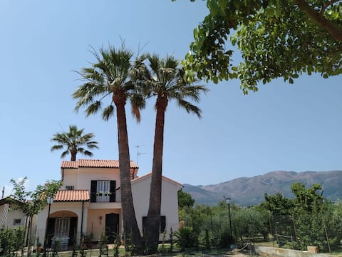 Villa accomodation in the greenery facing the sea.