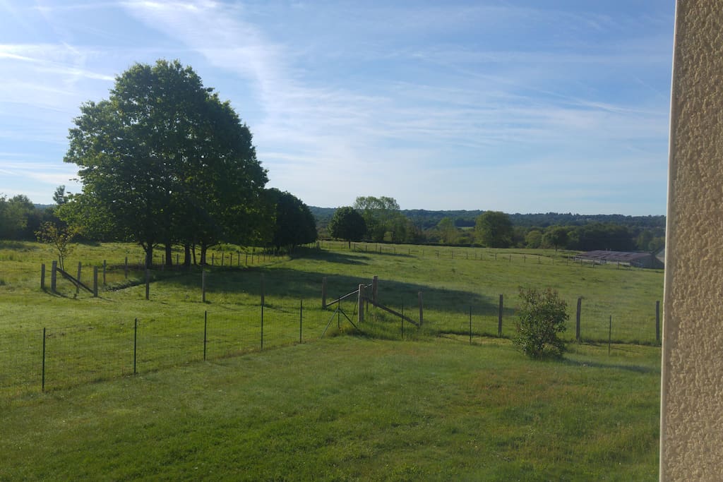 Vue chambre Côté Est