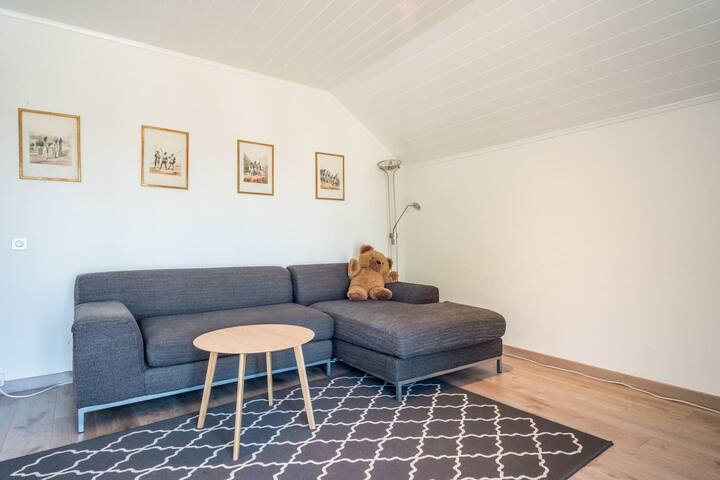 Splendid 3 room penthouse with terace