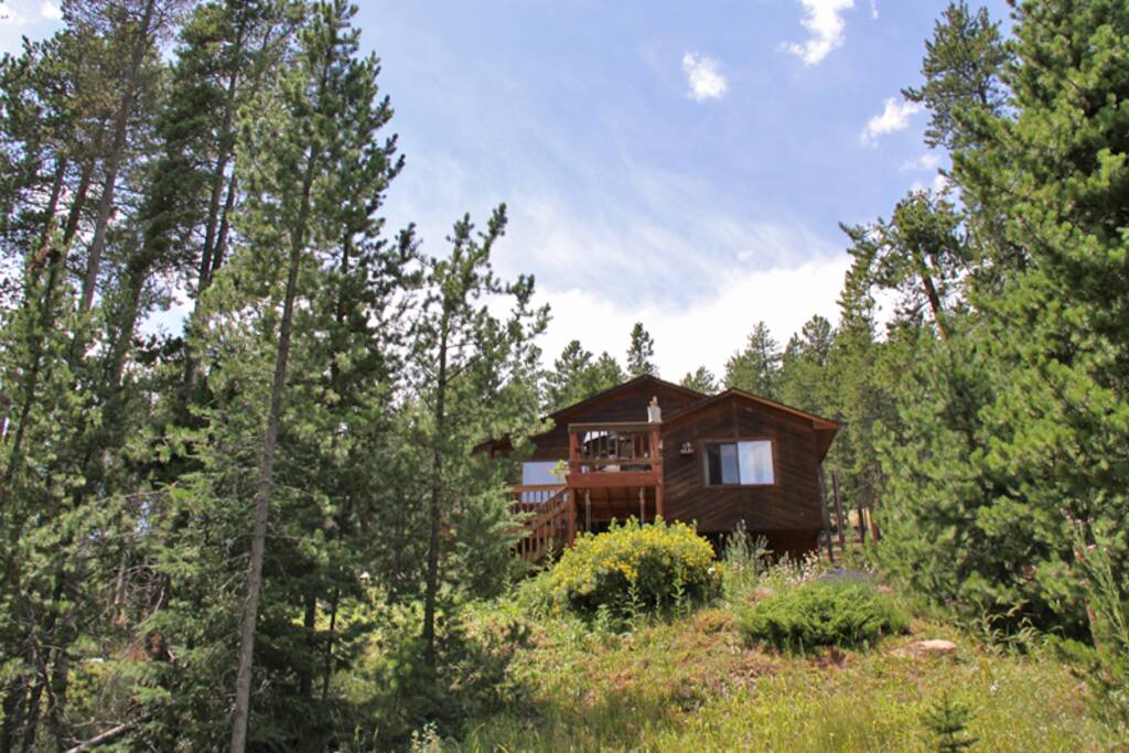 Forested 1 1/4 Acre lot