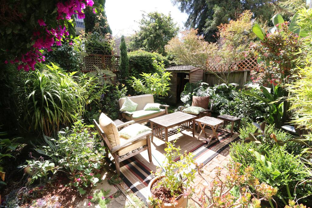 Shared backyard