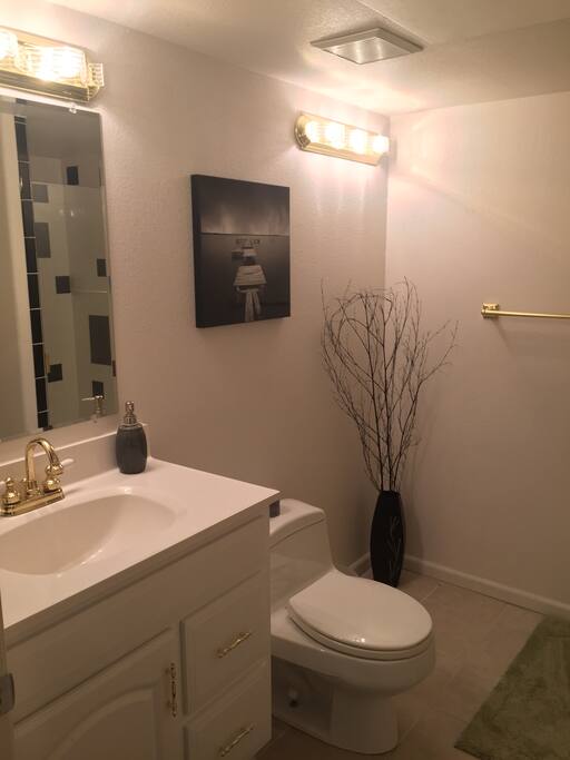 Bathroom, with shower, in private basement