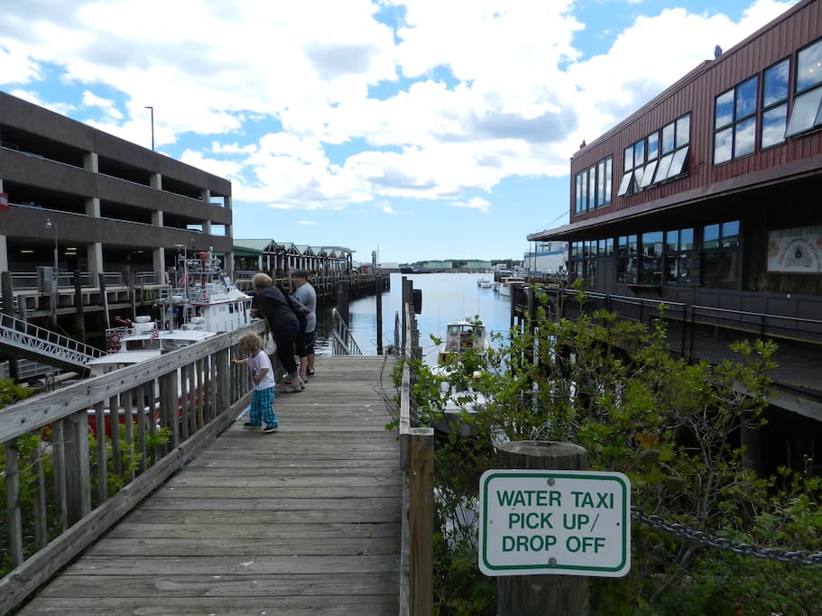 You can hire a water taxi to get to the islands at the exact time you would like to leave