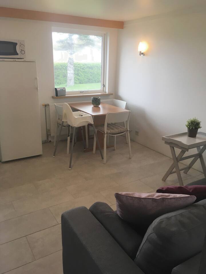 Sala de estar/ comedor con un sofá que se puede convertir en una cama doble. (Las persianas aún no están configuradas)