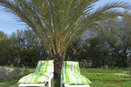 Get 4 chambres stations balneaires myrte Free