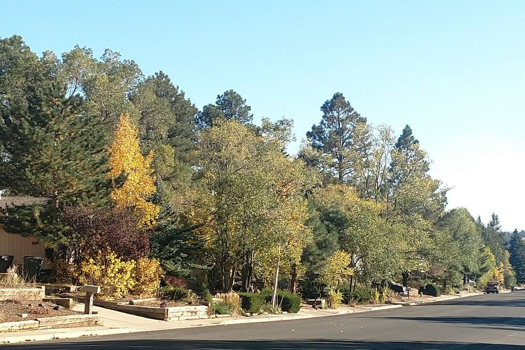 Beginning of Fall colors in the neighborhood.