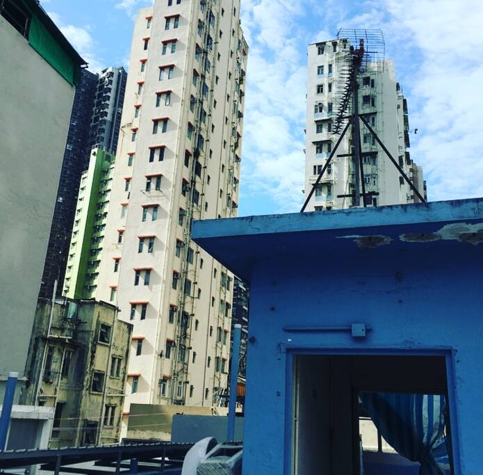 Rooftop!