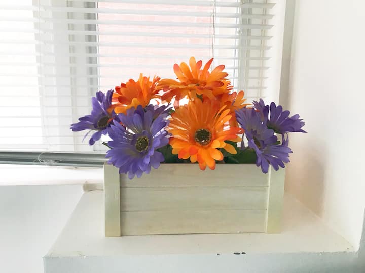 Top 17 Airbnb Vacation Rentals In Richmond Hill, Ontario, Canada